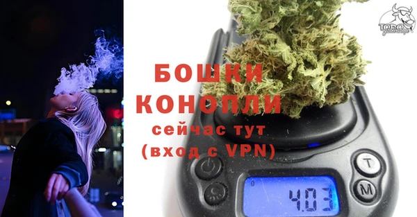 бошки Мегион