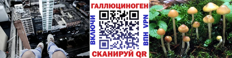 Галлюциногенные грибы Magic Shrooms  Поворино 
